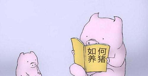给猪用药的几大误区！