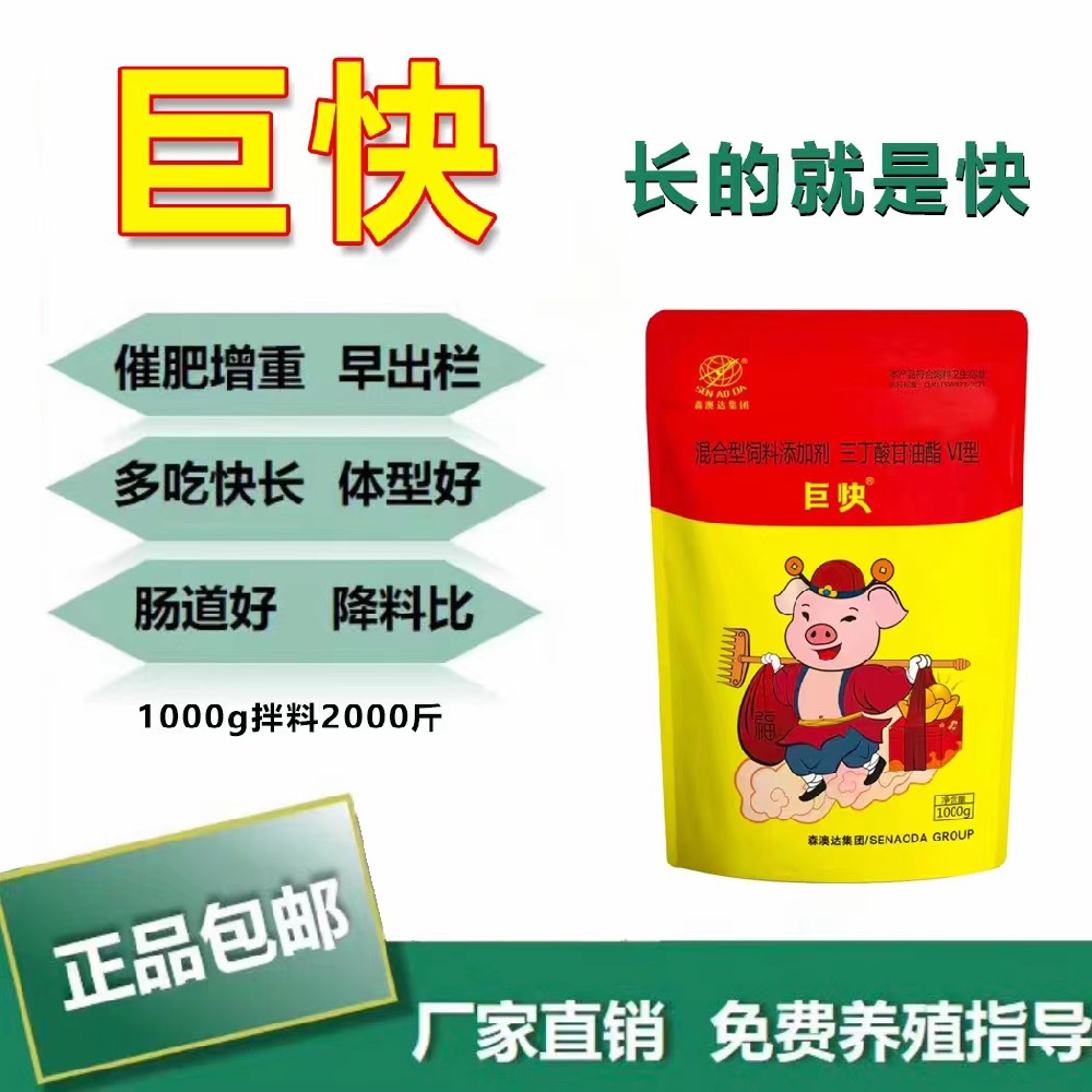生猪如何高效催肥？