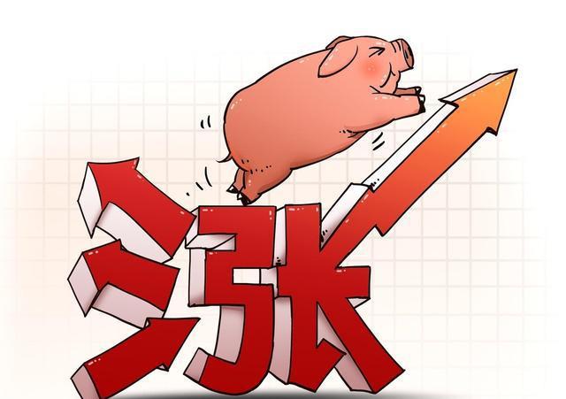 生猪价格在较高位置或要维持一段时间