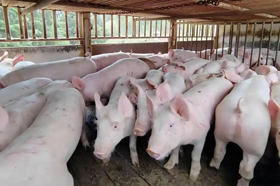 1765158415942333.jpg 002.jpg