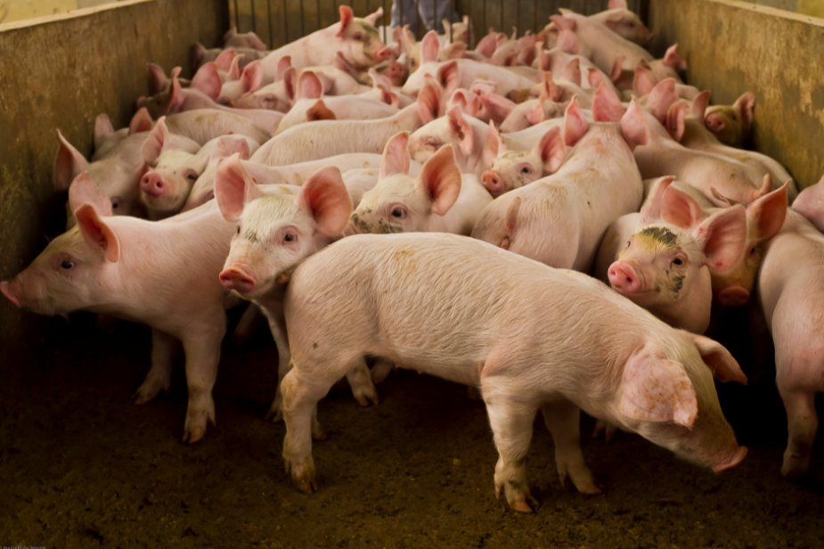 1765418361976772.png ScreenShot_2025-12-11_094033_093.png