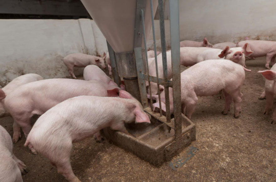 1765422661106663.jpg ScreenShot_2025-12-11_105701_246.jpg