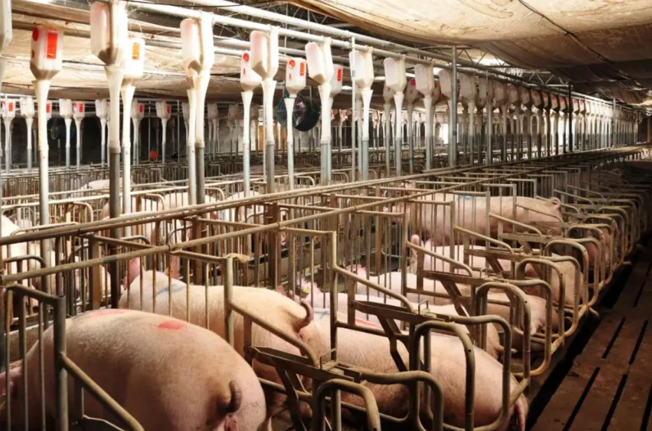 1765765448252013.png ScreenShot_2025-12-15_092808_411.png