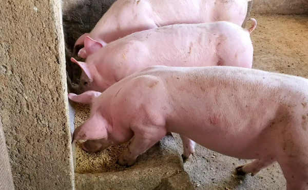 1767061942128935.png ScreenShot_2025-12-02_153414_594.png