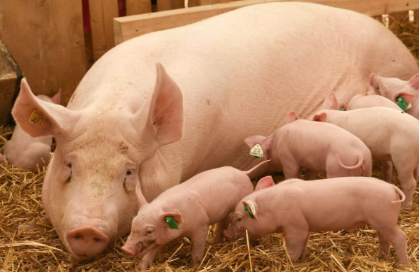 1769409421202259.png ScreenShot_2025-12-22_094521_383.png