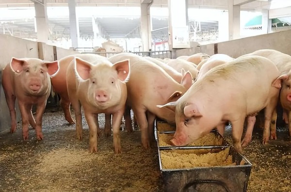 1769413782213083.jpg ScreenShot_2025-12-29_095113_491.jpg