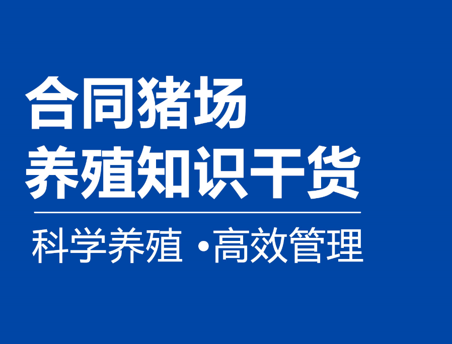 从进场抗应激到出栏上市：森澳达合同猪全周期成活率提升方案