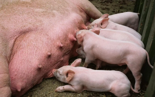 1773286771743595.png ScreenShot_2026-03-12_102529_602.png